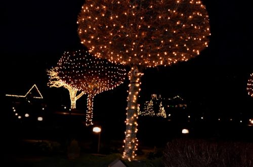 Photo "Firefly LED chandelier in the garden"
